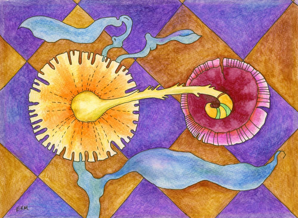 Vibrant Whimsical Forms by Elena Khomutova-Miller — canvas wall art