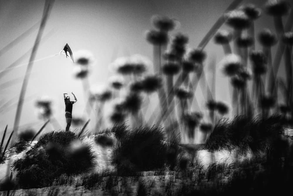 Kite Flyer on Dunes by Laura Mexia — canvas wall art