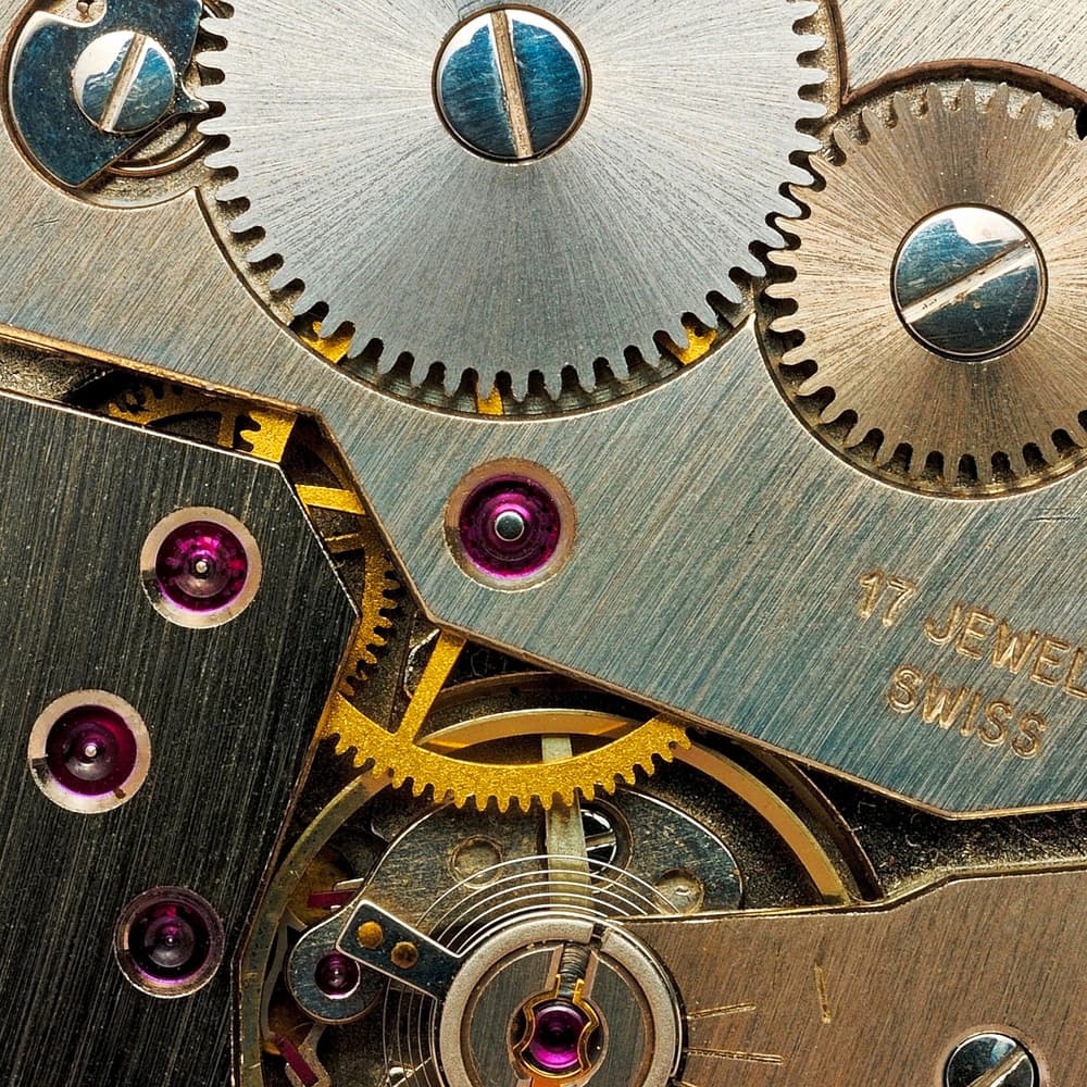 Intricate Watch Movement by Raffaele Corte — canvas wall art
