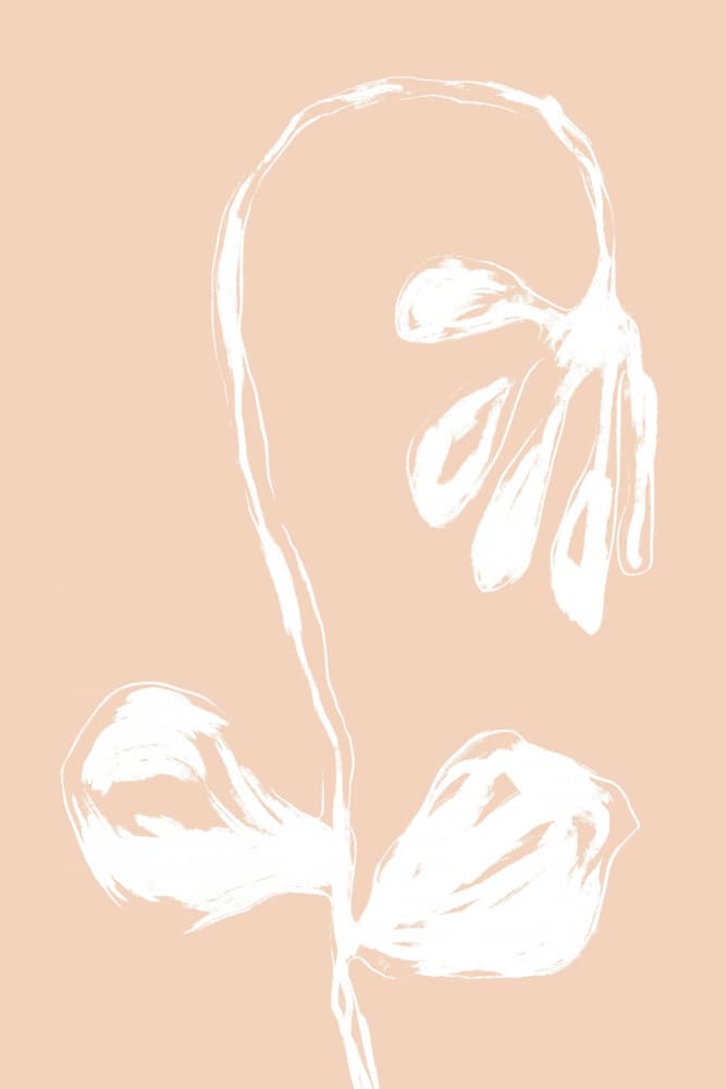 Soft Botanical Bloom by Martina — canvas wall art
