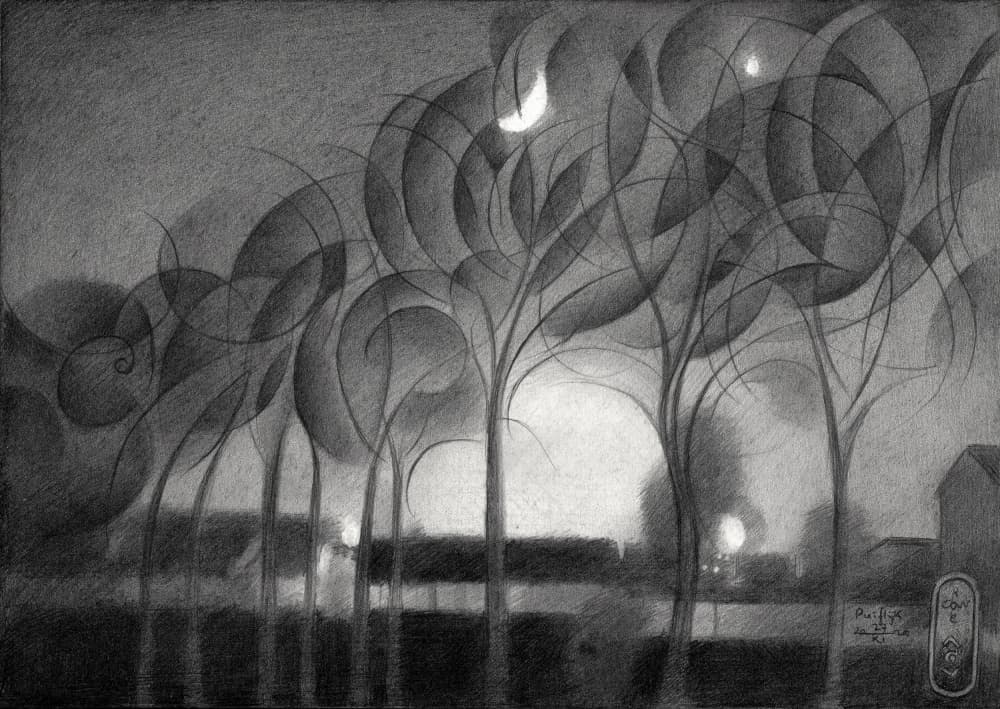 Crescent Moon Night by Corné Akkers — canvas wall art