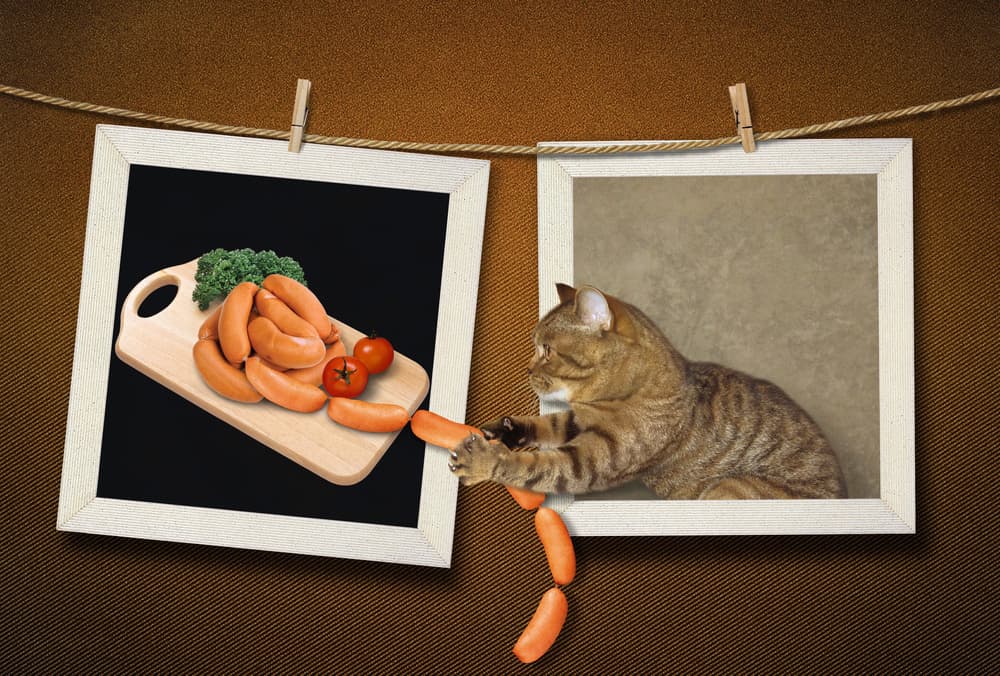 Cat Steals Sausages by Iryna Kuznetsova (Iridi) — canvas wall art