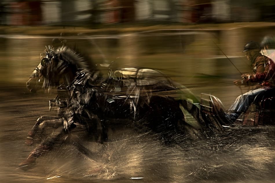 Dynamic Harness Race by Milan Malovrh — canvas wall art