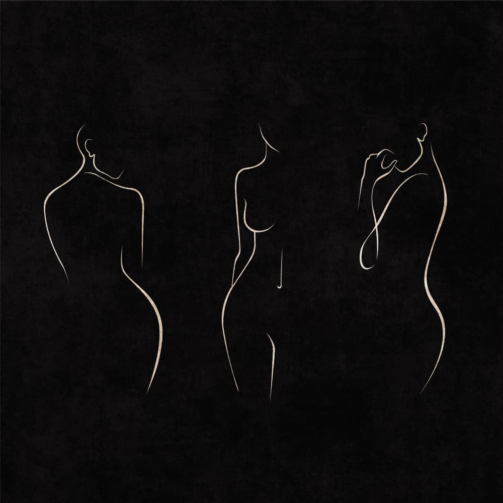 Elegance in Lines by Emel Tunaboylu — canvas wall art