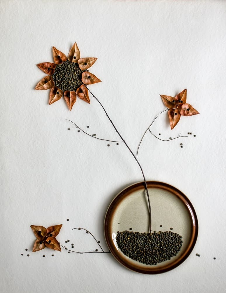 Organic Seed Bloom by Dimitar Lazarov - Dim — canvas wall art