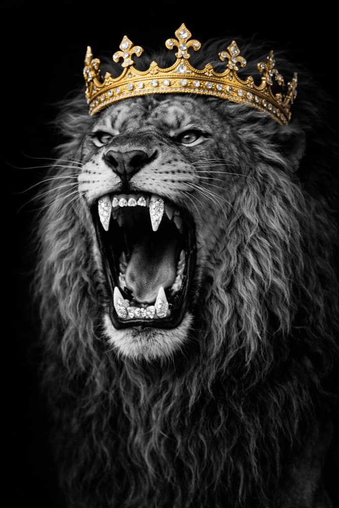 Roaring Lion King by Josie George — canvas wall art