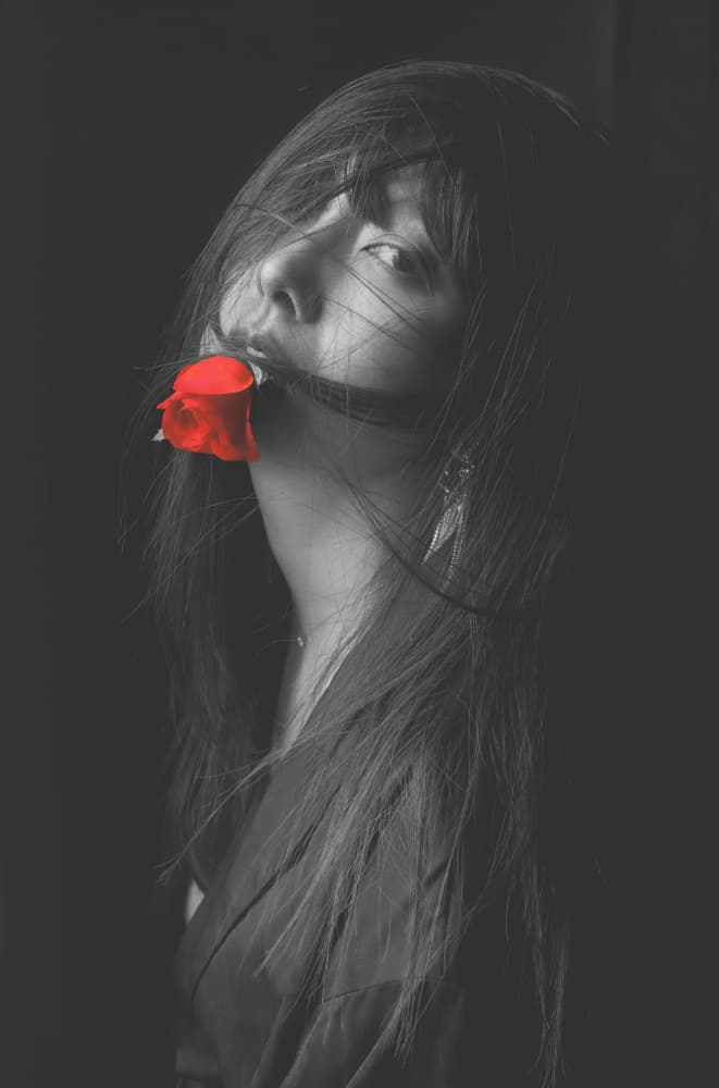 Dark Woman Red Rose by Blue_Rose — canvas wall art