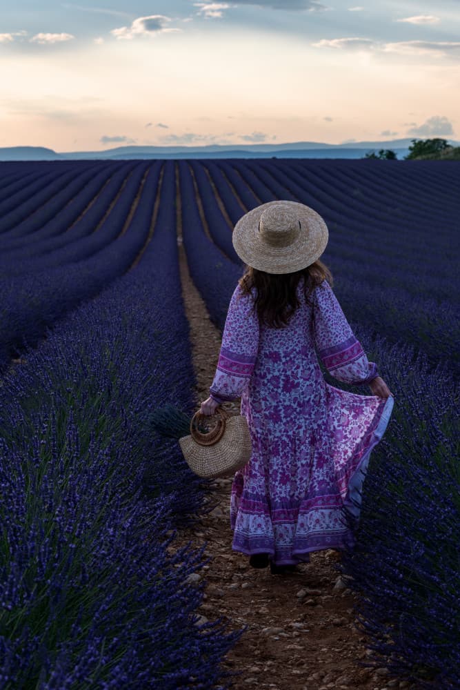 Evening Lavender Stroll by Marco Galimberti — canvas wall art