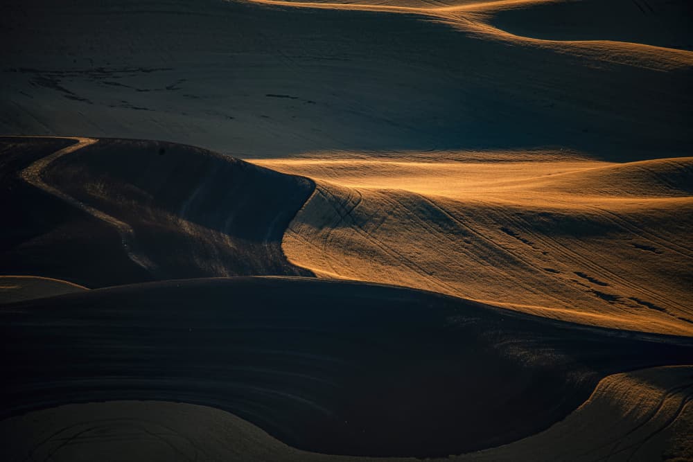 Golden Field Waves by Jie Cheng — canvas wall art