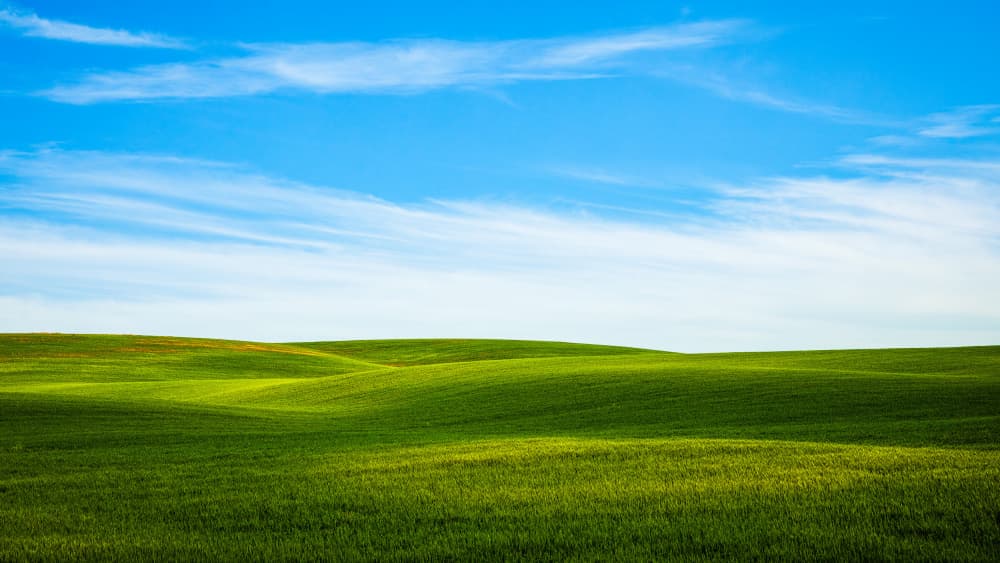 Vibrant Green Rolling Hills by ZY Zhang — canvas wall art