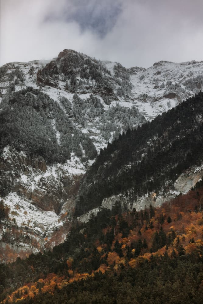 Winter's First Snowfall Peaks by Javier Pardina — canvas wall art
