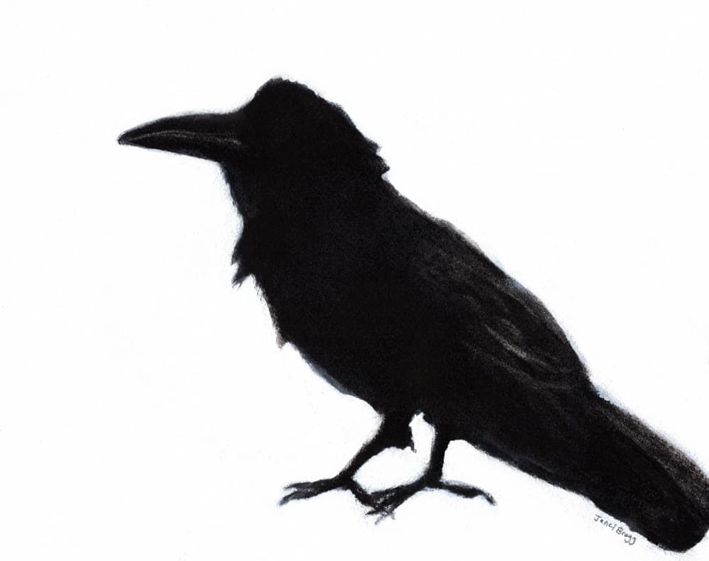 Black Crow Silhouette by Janel Bragg — canvas wall art