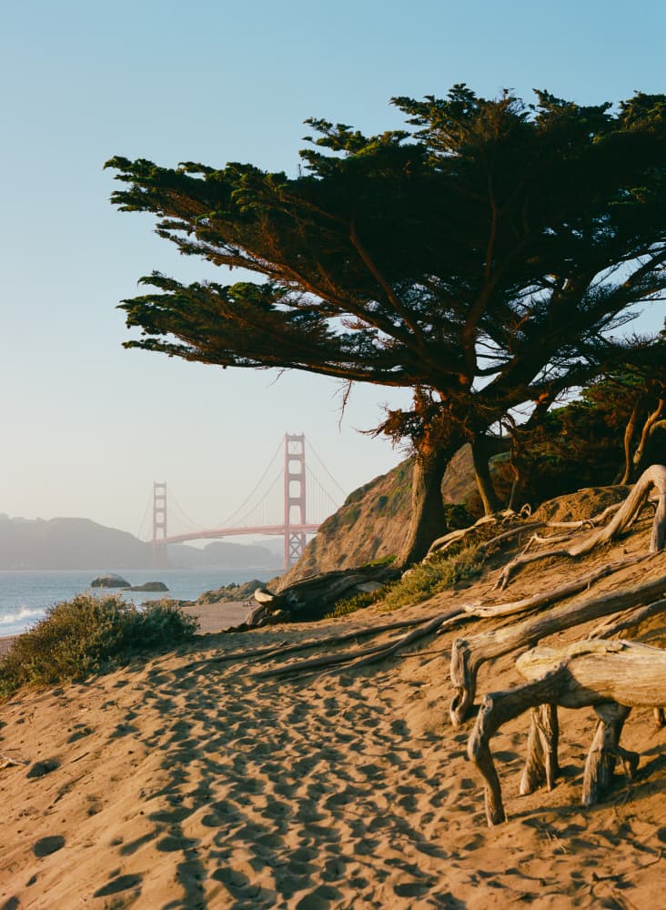 Golden Gate Coastal Sunset by Bethany Young — canvas wall art