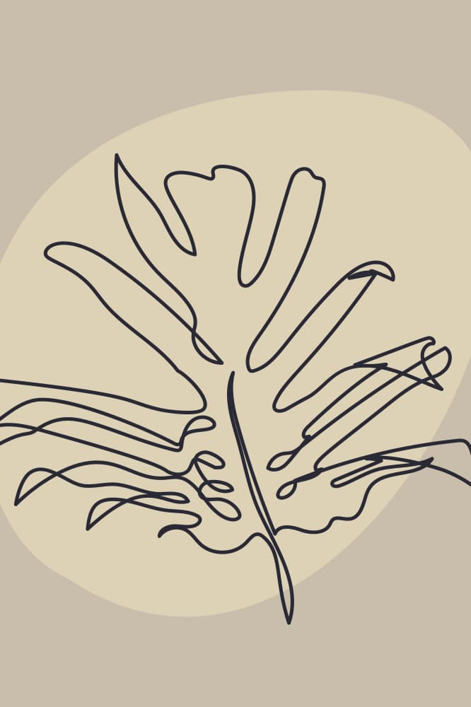 Tropical Leaf Line Art by Anna Rose — canvas wall art