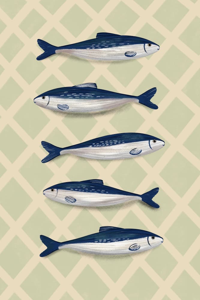 Swimming Sardines Pattern by EMELIEmaria — canvas wall art