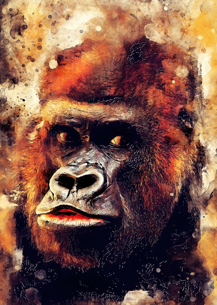 Gorilla  animal art by Justyna Jaszke — canvas wall art