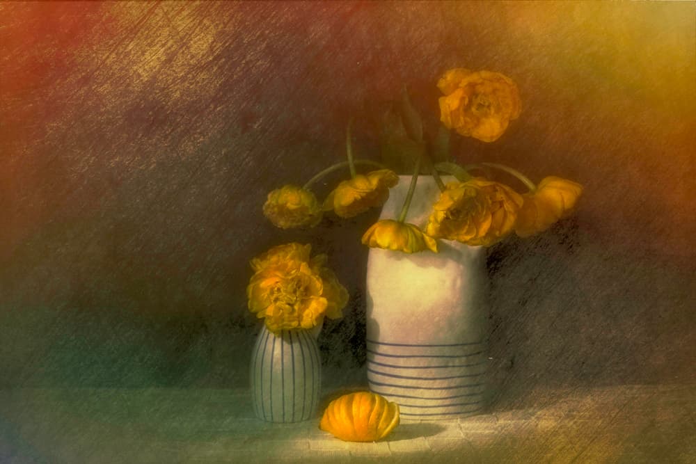 Yellow Ranunculus Still Life by Saskia Dingemans — canvas wall art
