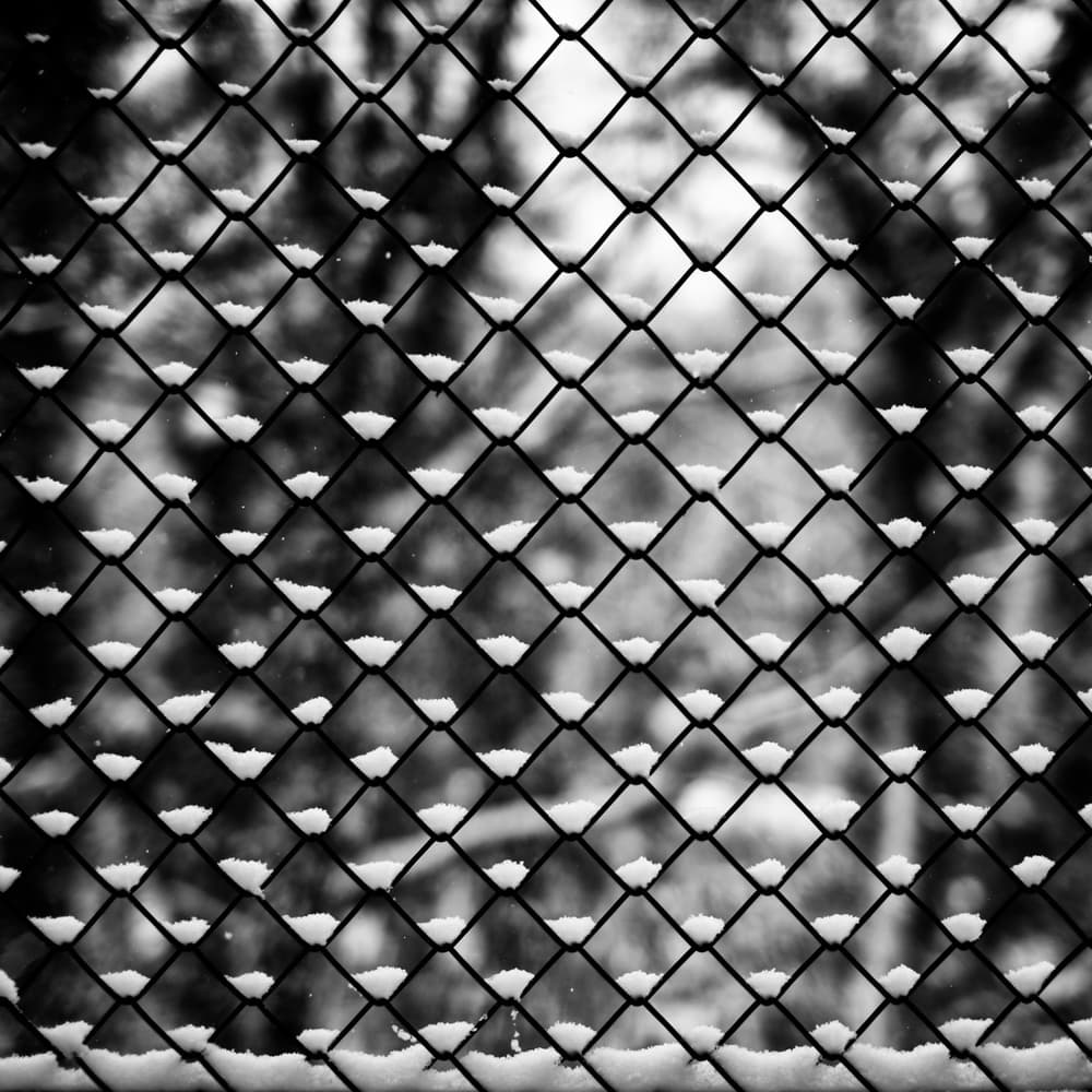 Snowy Fence Pattern by Michael C Neale — canvas wall art