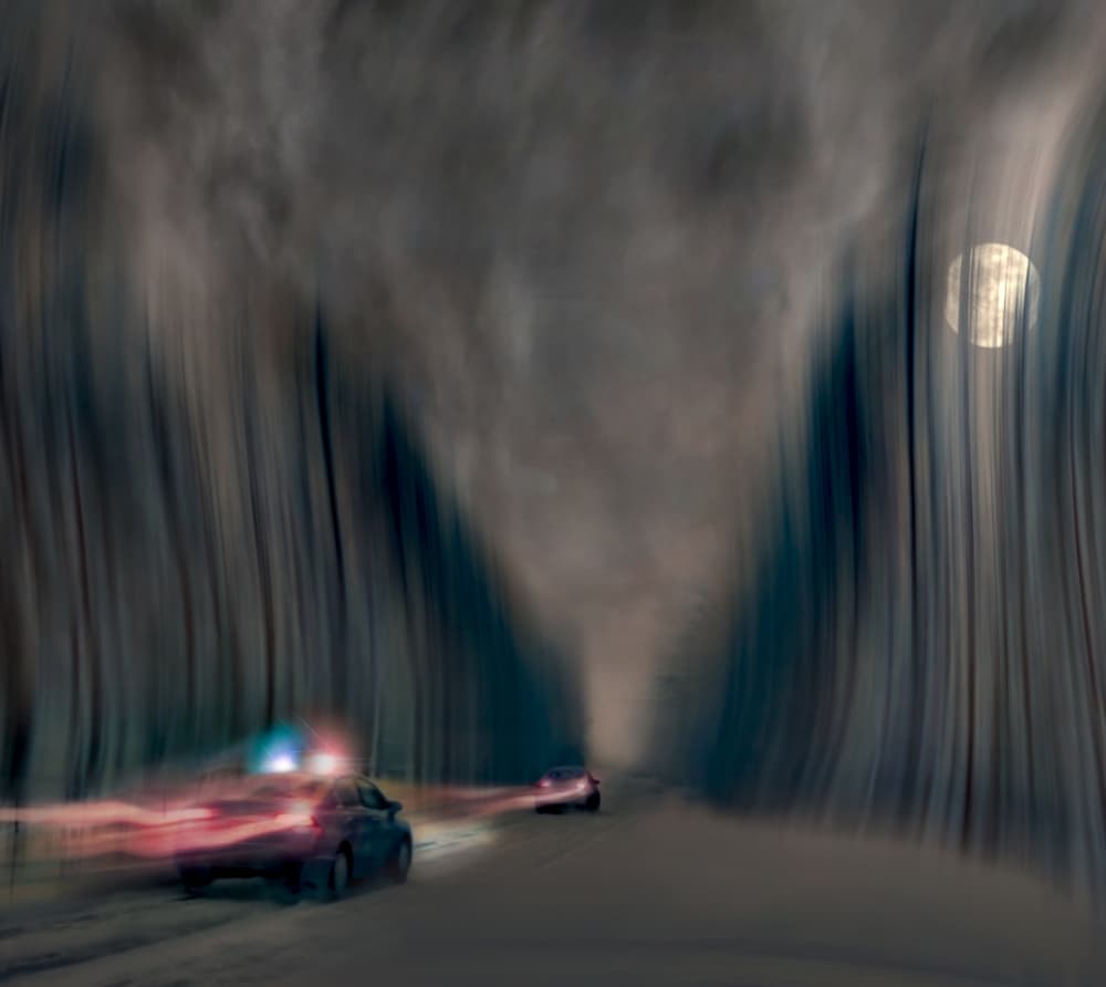 Night Forest Chase by David Senechal Photographie (polydactyle) — canvas wall art