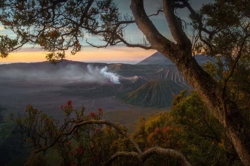Misty Bromo Sunrise by SANDEEP MATHUR — canvas wall art