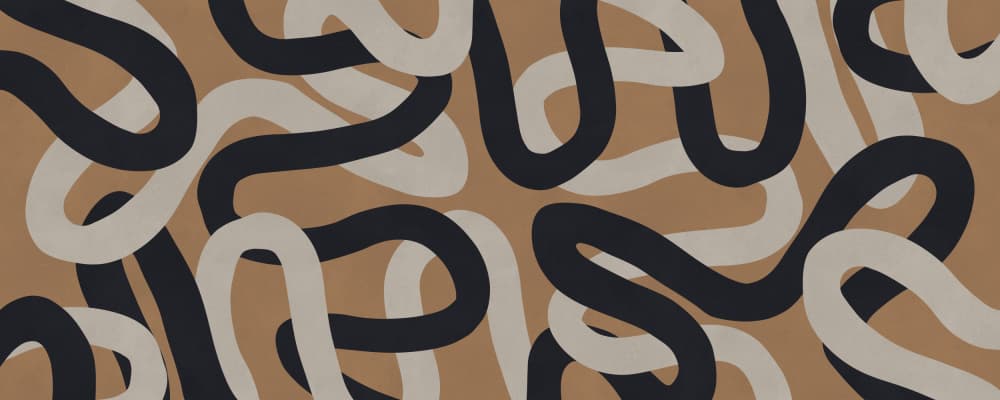 Intertwined Abstract Lines by Vitor Costa — canvas wall art