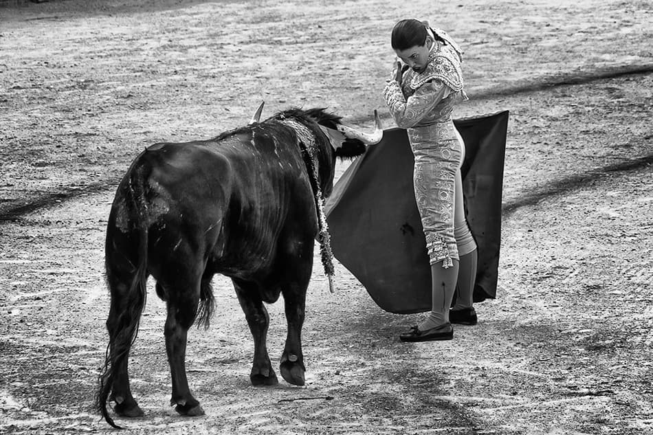 Matador and Bull by Peter Sticza — canvas wall art