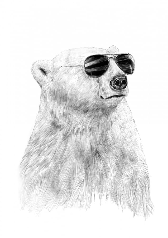 Cool Polar Bear Portrait by Balazs Solti — canvas wall art