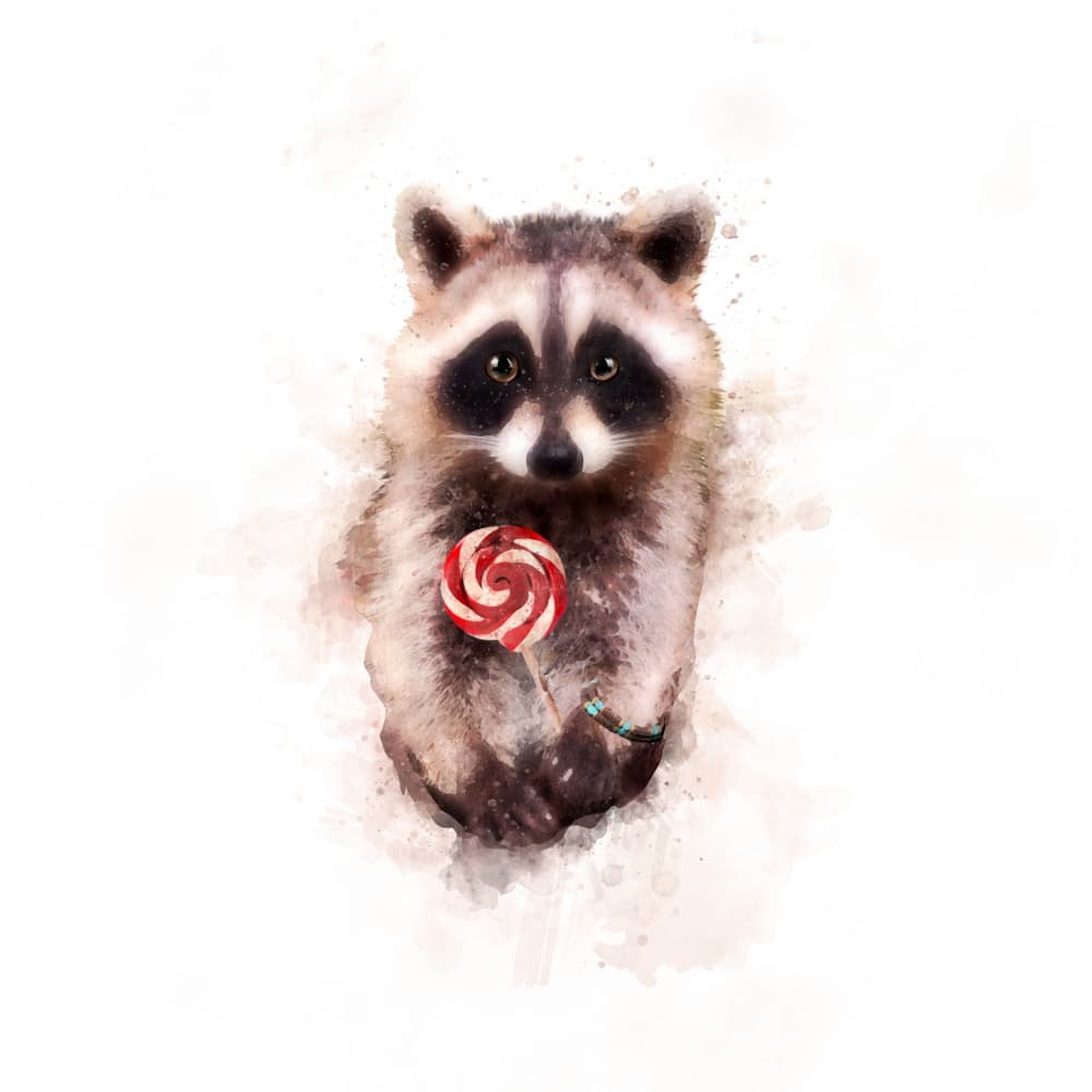Sweet Raccoon Delight by Emel Tunaboylu — canvas wall art