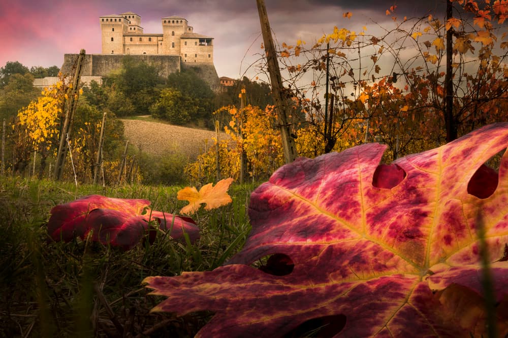 Vibrant Autumn Vineyard Castle by Alberto Ghizzi Panizza — canvas wall art