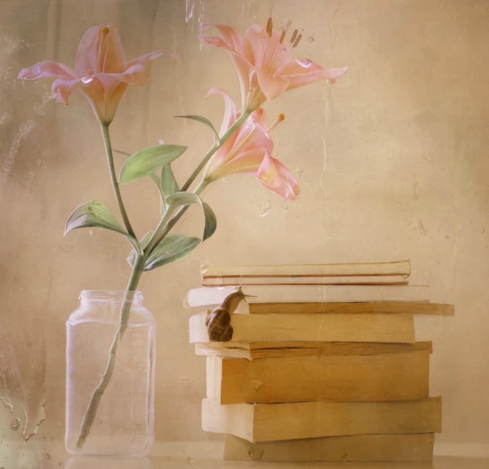 Dreamy Lilies Snail Books by Delphine Devos — canvas wall art