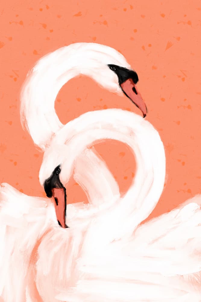 Graceful Swans by Treechild — canvas wall art