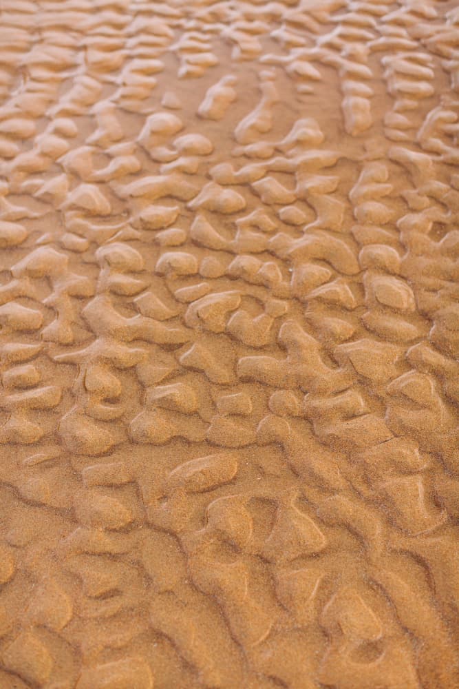 Rippled Golden Sand by Javier Pardina — canvas wall art