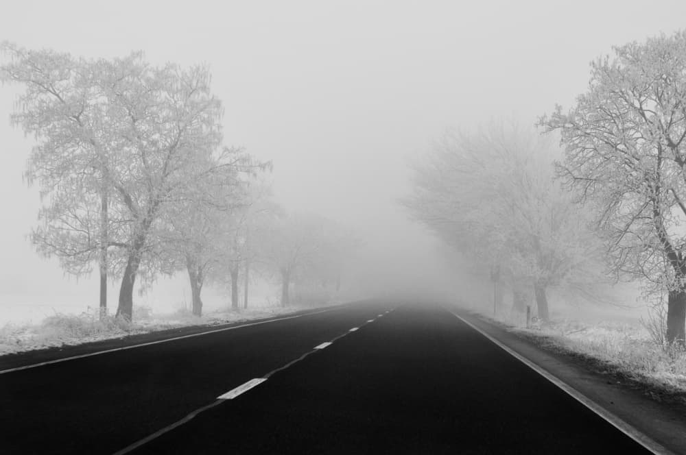 Foggy Winter Road by Nicoleta Gabor — canvas wall art