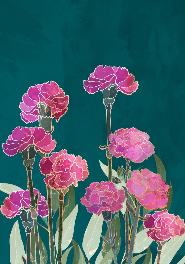 Vibrant Pink Carnations by Sarah Manovski — canvas wall art