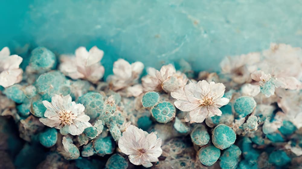Aqua Blossom Dream by Treechild — canvas wall art