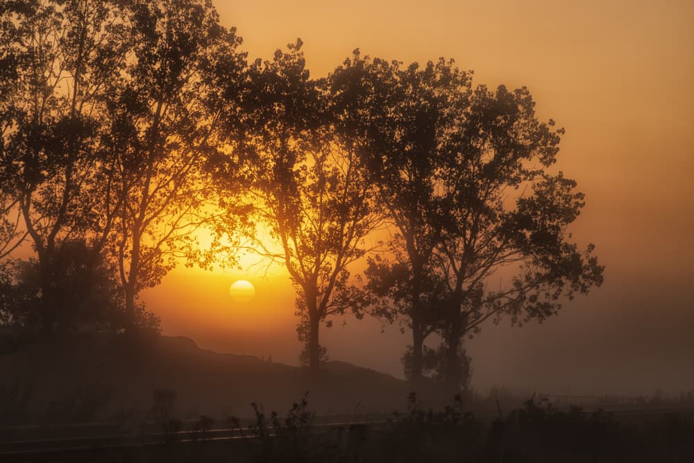 Foggy Golden Sunrise by Ute Jackisch — canvas wall art