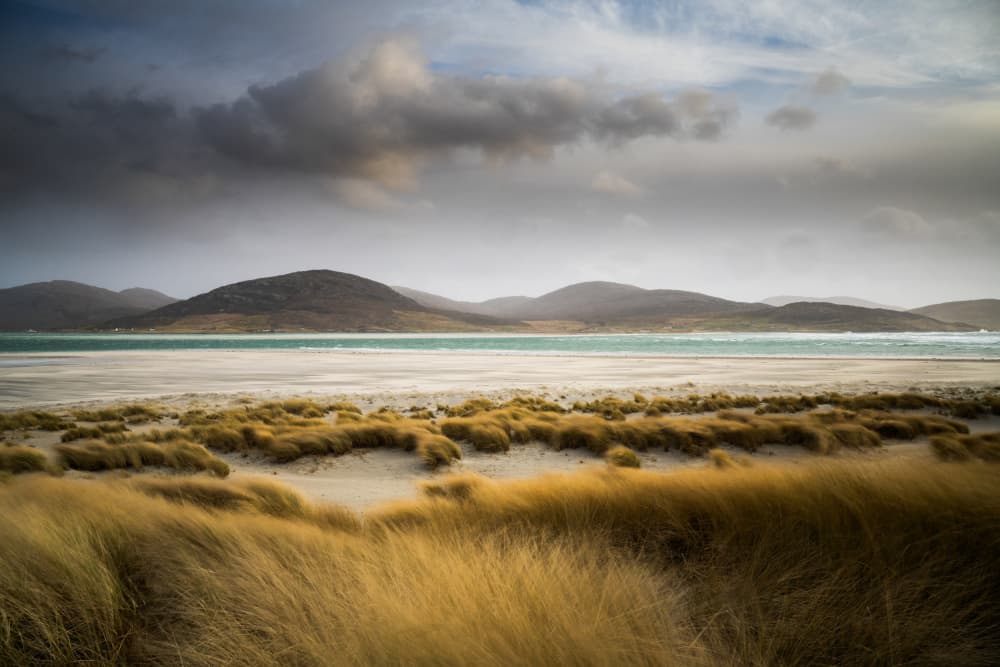 Golden Dunes and Ocean by Ulrike Eisenmann — canvas wall art