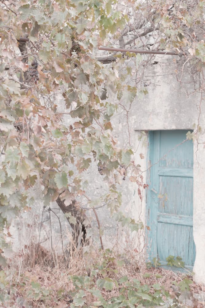 Rustic Blue Door by Courtney Crane — canvas wall art