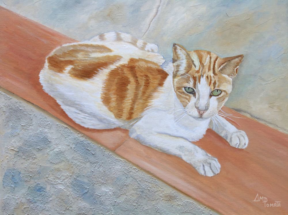 Watchful Orange Tabby