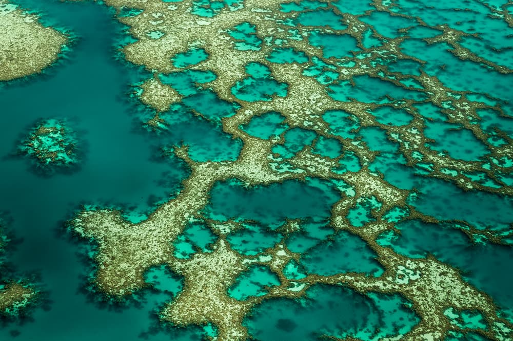 Turquoise Reef Patterns by Karsten Wrobel — canvas wall art