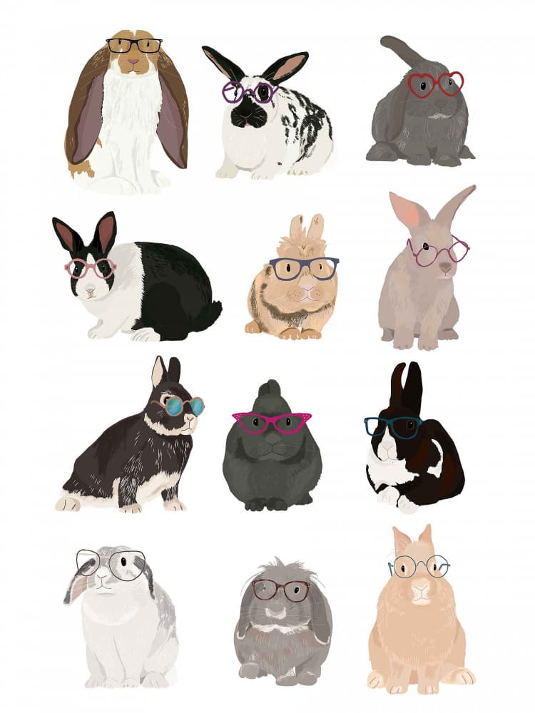 Rabbits Wearing Glasses by Hanna Melin — canvas wall art
