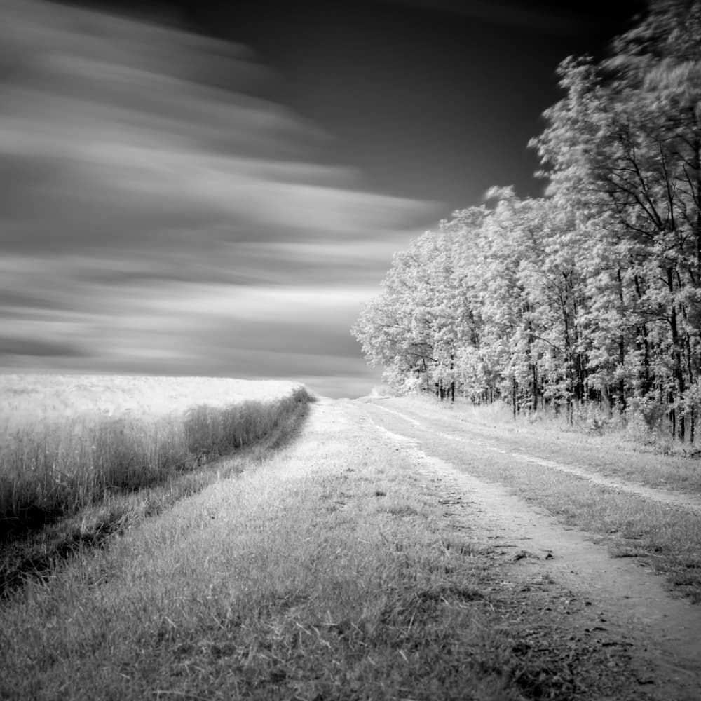 Ethereal Country Path by av peteghium — canvas wall art