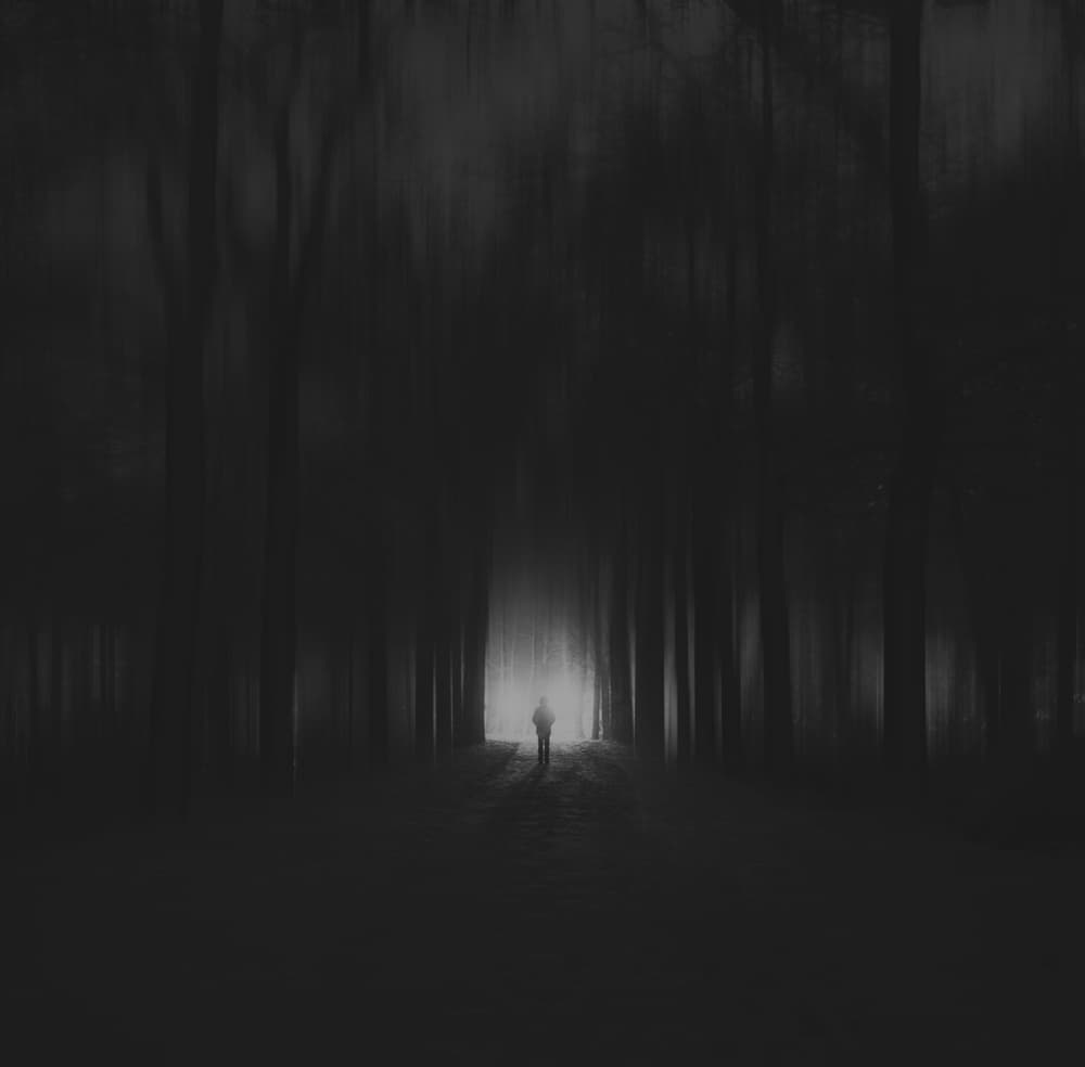 Mysterious Forest Light Path by Leonie Kuiper — canvas wall art