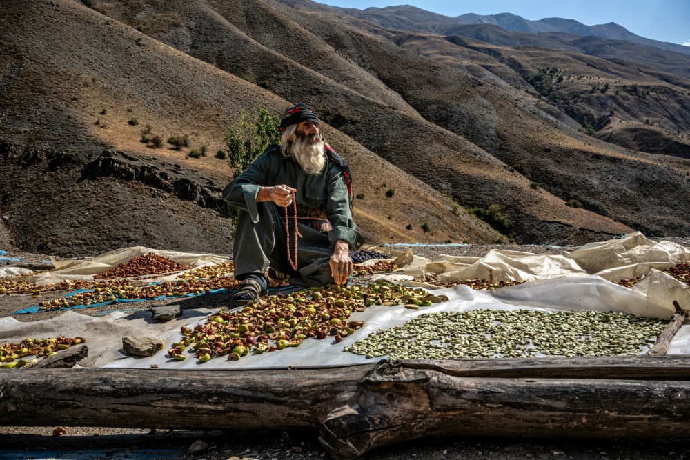 Old Man Drying Mountain Harvest by Corinne Spector — canvas wall art