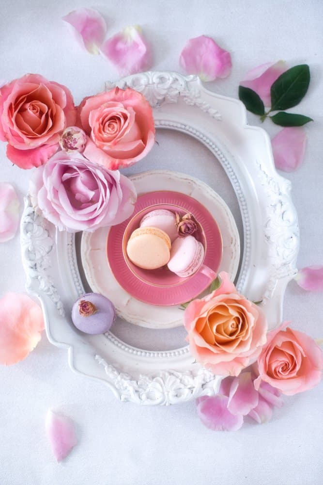 Sweet Pink Roses Macarons by Elena Karagyozova — canvas wall art