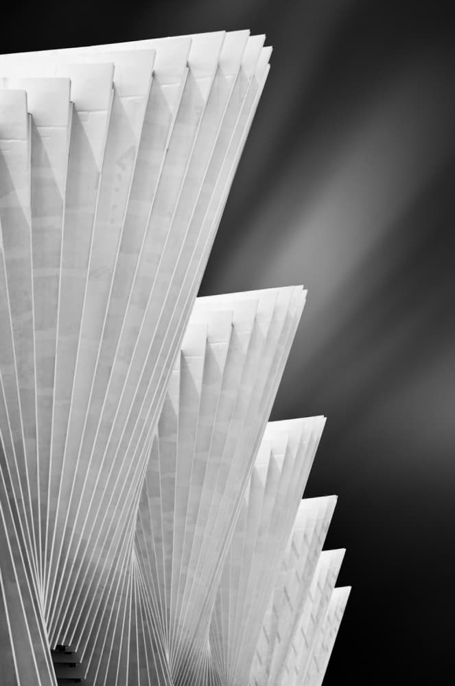 Ivory Gates by Michiel Hageman — canvas wall art