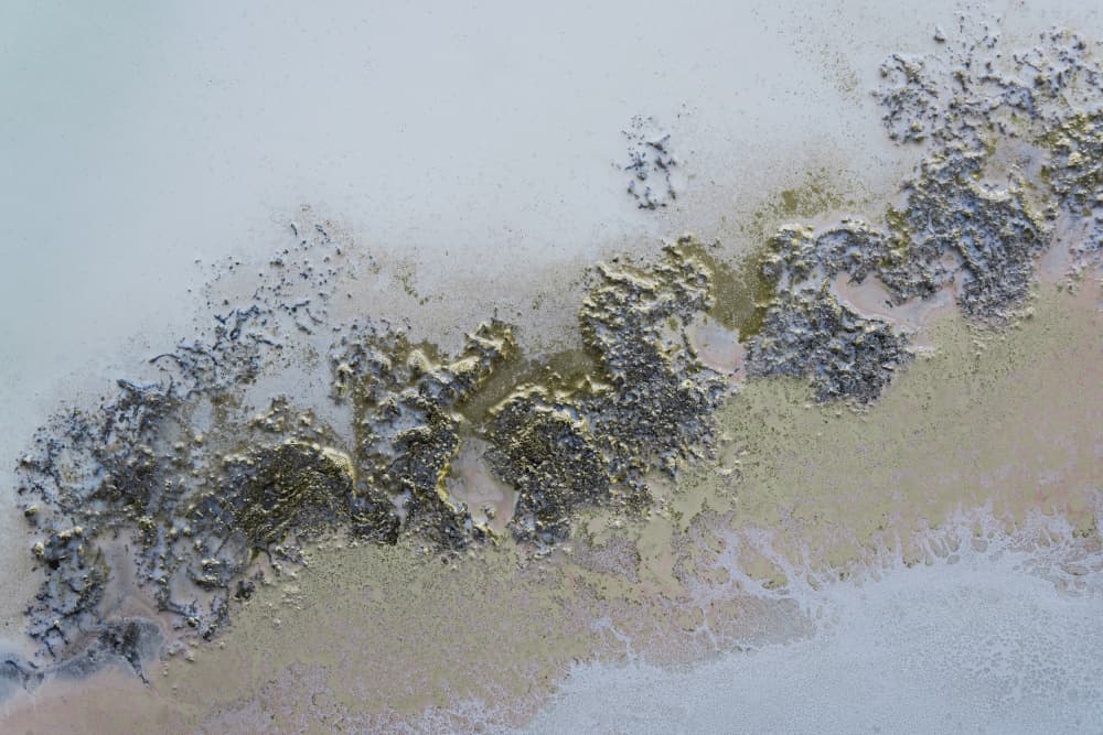 Untitled by Petra Meikle de Vlas — canvas wall art