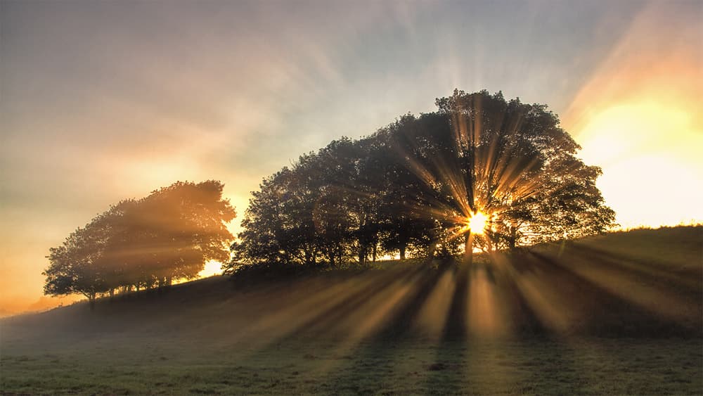 Golden Morning Rays by Leif Løndal — canvas wall art