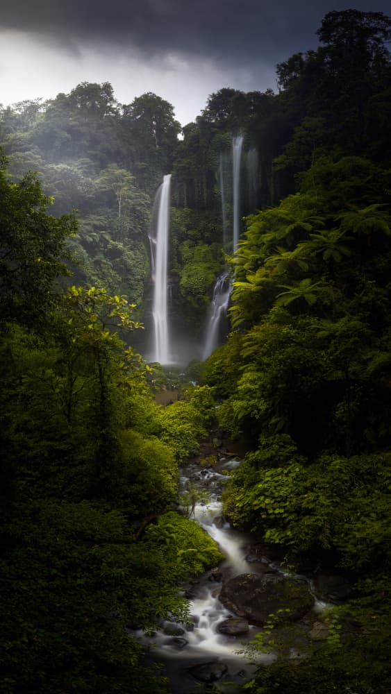 Majestic Jungle Waterfalls by SANDEEP MATHUR — canvas wall art