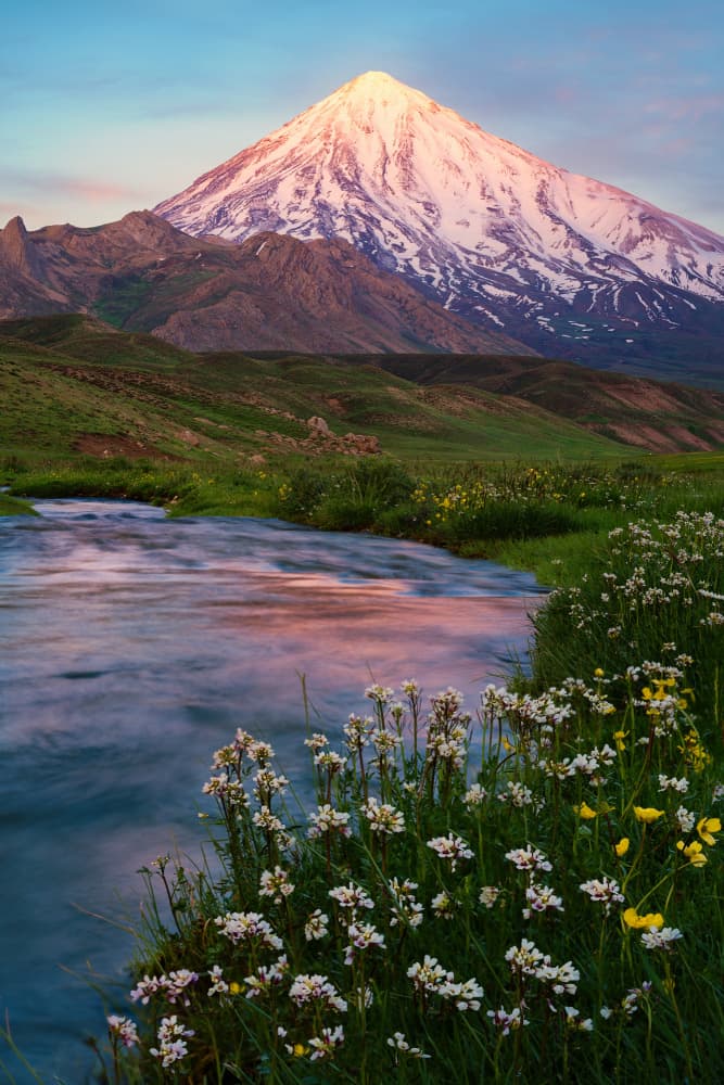 Sunlit Mountain Wildflowers by Ali Fallahzadeh — canvas wall art